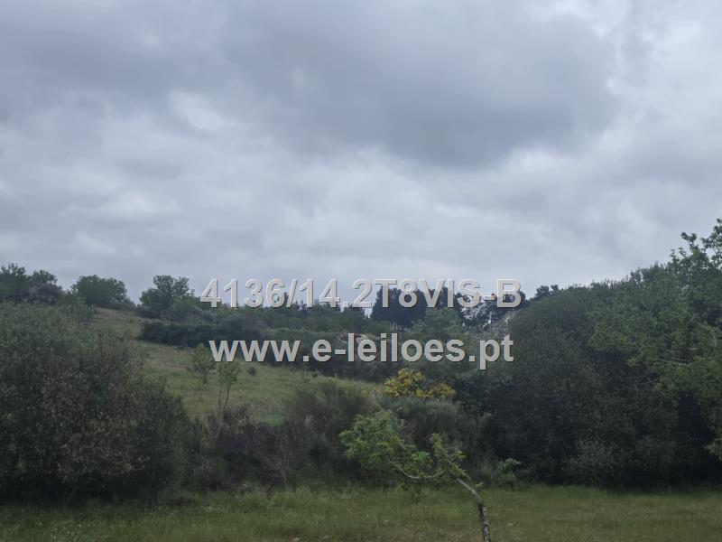 Terreno Agrícola, sito à Póvoa de Penela, Penedono, Viseu