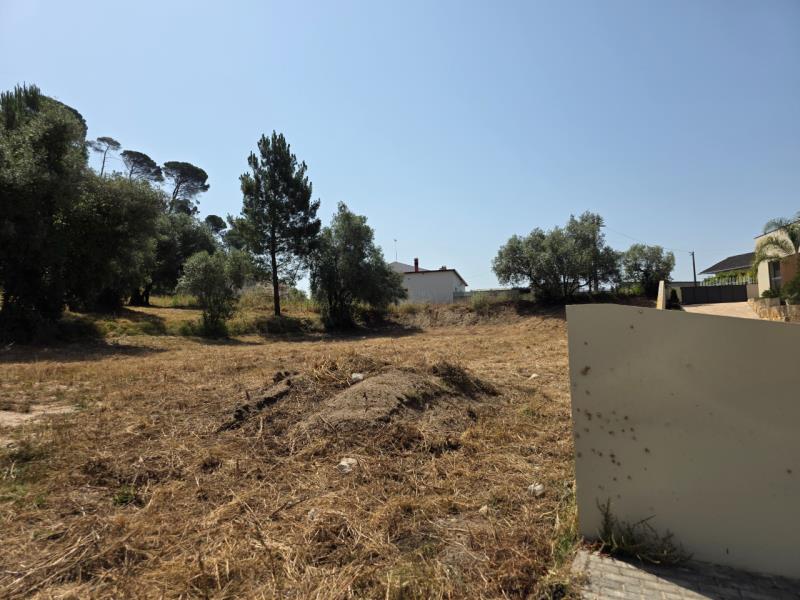 Fotografia de imóvel: Lote Terreno - Pousos - Leiria