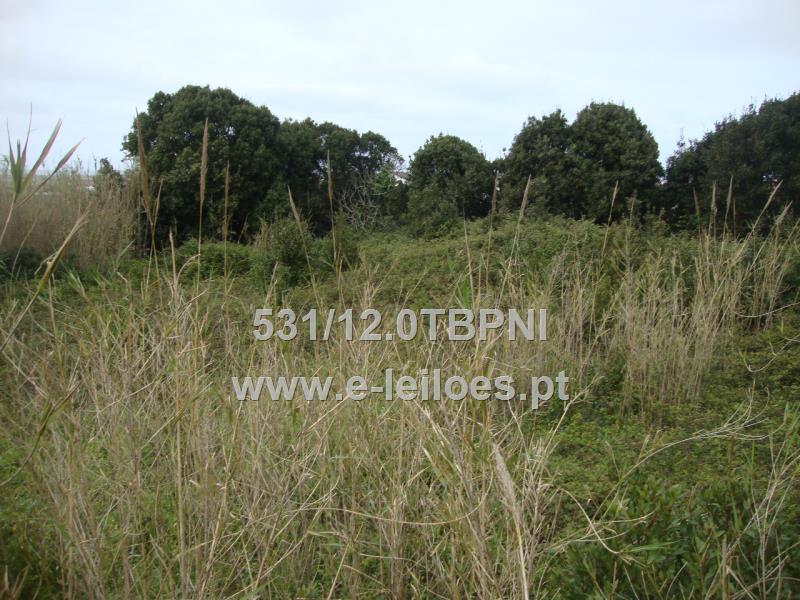 3/4 indivisos do Prédio Rústico denominado “Bosque” situado Atouguia da Baleia