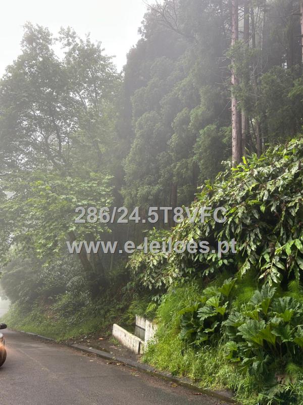 Predio Rustico sito a Ponta Garça