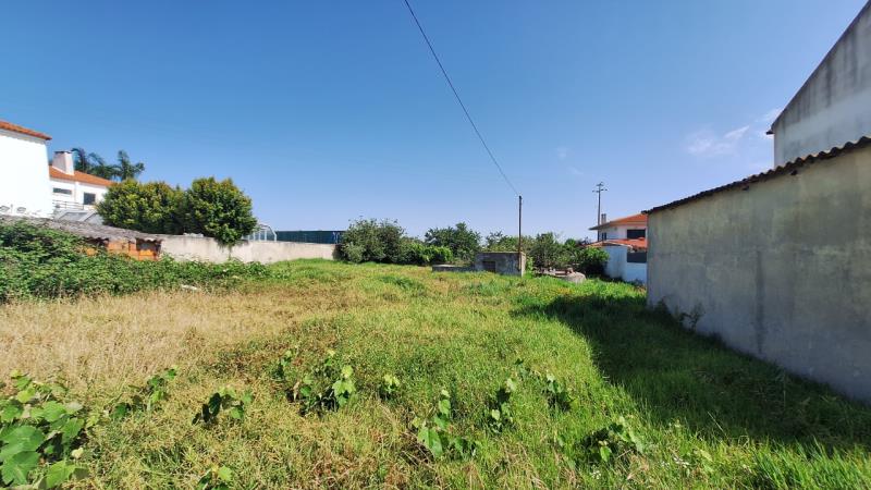 Fotografia de imóvel: 1/2 (METADE) da propriedade radiciária (direito de raiz ou nua propriedade)