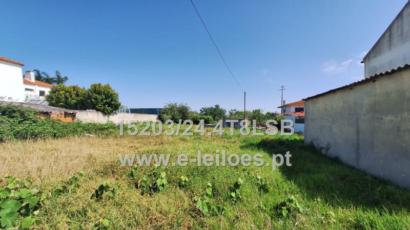 1/2 (METADE) da propriedade radiciária (direito de raiz ou nua propriedade)