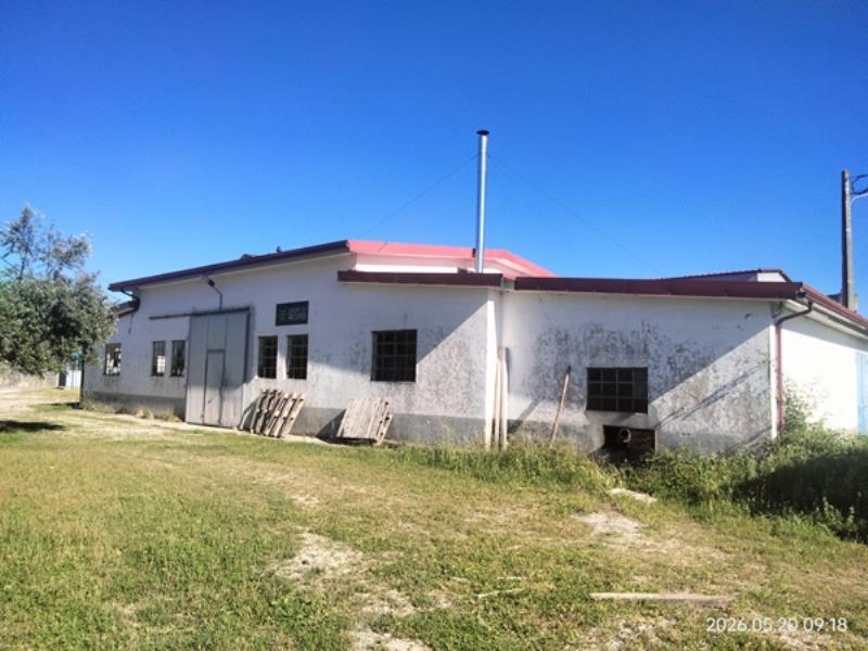 Fotografia de imóvel: Prédio Urbano – Lagar de Azeite com Logradouro