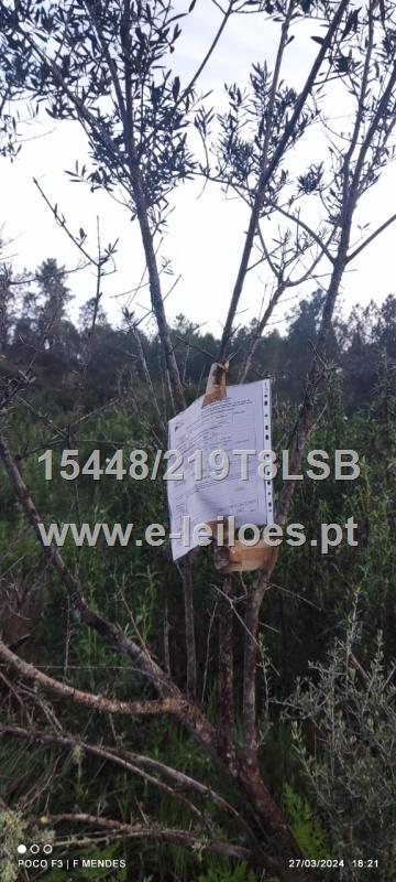 Terreno no Ribeiro do Retaxo