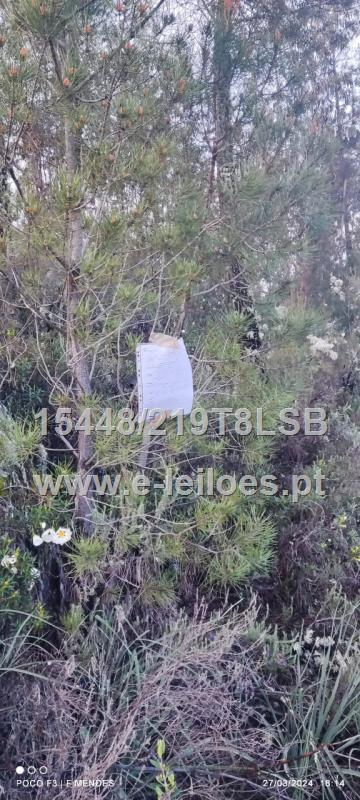 Terreno no Ribeiro do Retaxo
