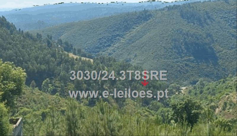 Prédio Rústico em Barroca - Monte Frio, Pampilhosa da Serra