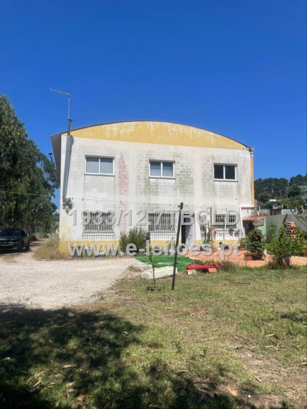 Quinta com armazém, casa de habitação, logradouro e pinhal