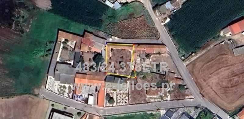 Terreno de cultura - Saltadouro