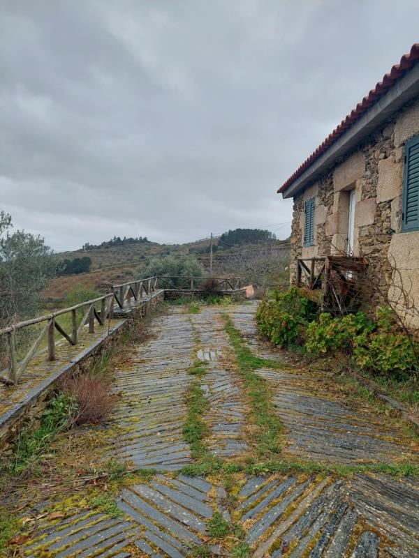 Fotografia de imóvel: Quinta em Vila Flor