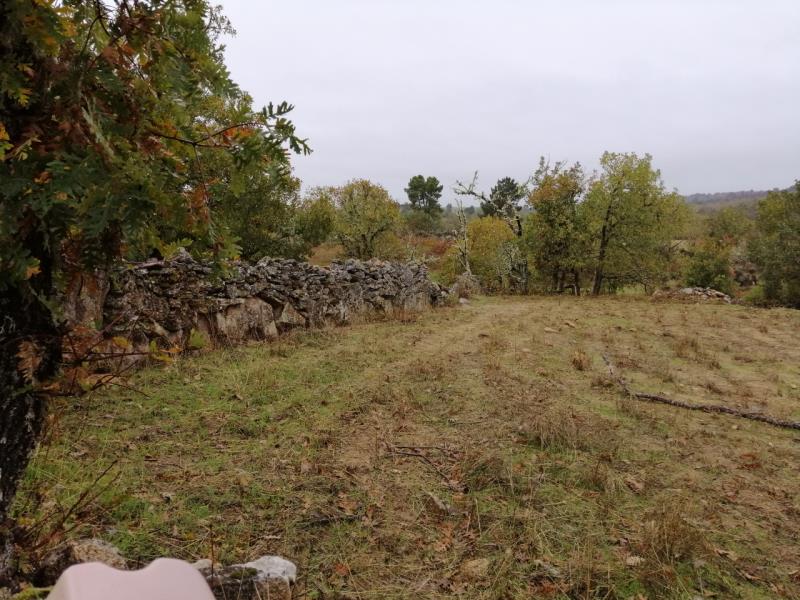 Fotografia de imóvel: 1/4 de Terreno de Lameiro, pastagem e vinha em Bismula/Sabugal