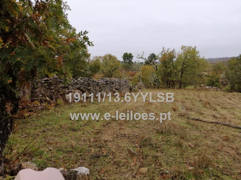 1/4 de Terreno de Lameiro, pastagem e vinha em Bismula/Sabugal