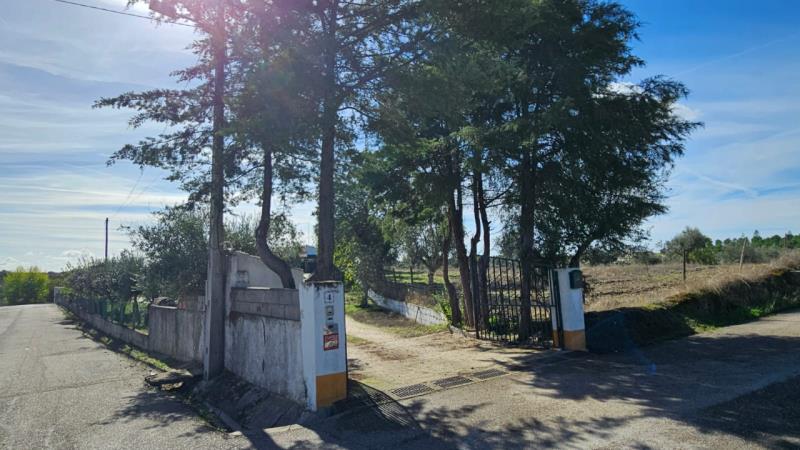 Fotografia de imóvel: Casa destinada a habitação de Rés-do-Chão com 6 divisões assoalhadas