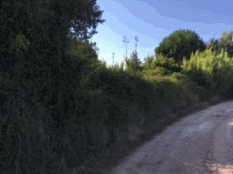 Fotografia de imóvel: Duas Quintas partes - Rústico em Remeleira - Abrigada