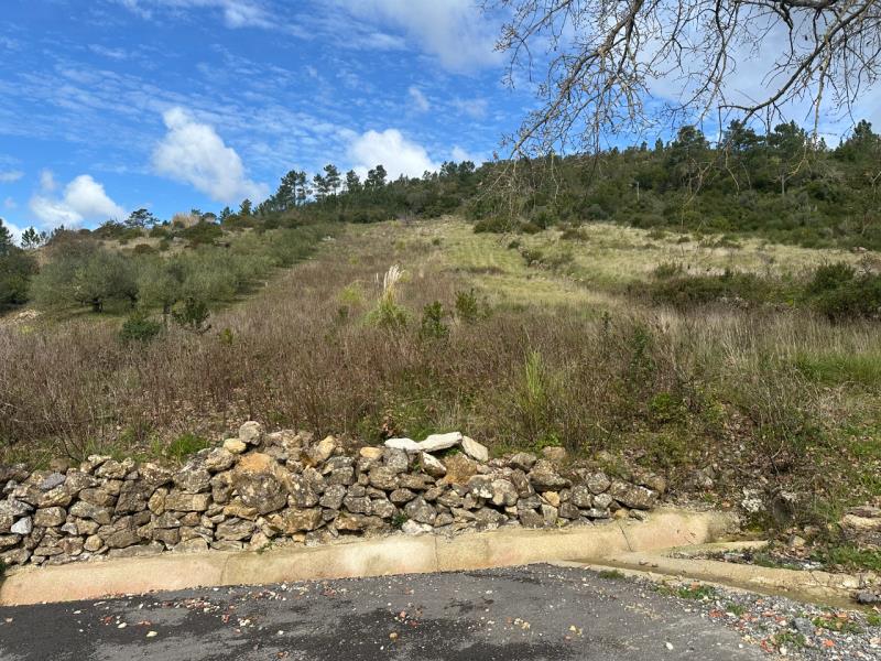Fotografia de imóvel: Direito de compropriedade (2/5) Terra com vinha, fraga, tranchoeiras e oliveiras