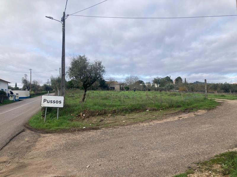 Lote composto por casa de habitação e terreno de cultura