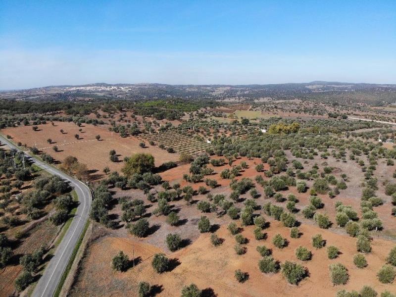 Terreno com 6000 m2, em Vila Ruiva