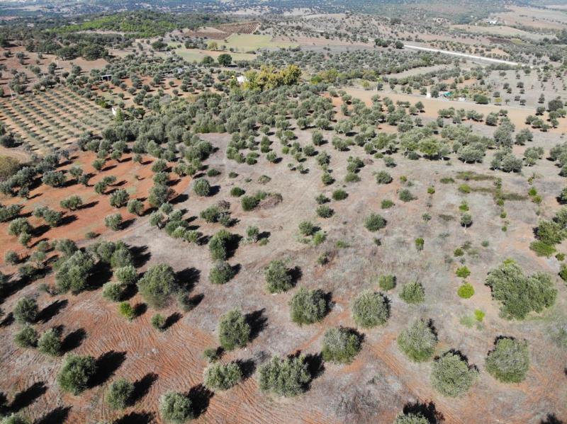 Terreno com 13250m2, em Vila Ruiva