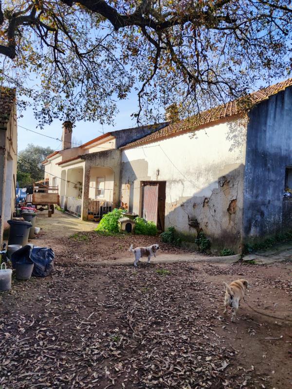 1/2 do prédio urbano sito em Salir de Matos