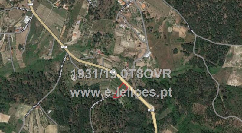 TERRENO COM USO PRODUTIVO DO SOLO