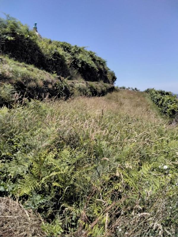 Fotografia de imóvel: Terreno rústico Chave/Arouca