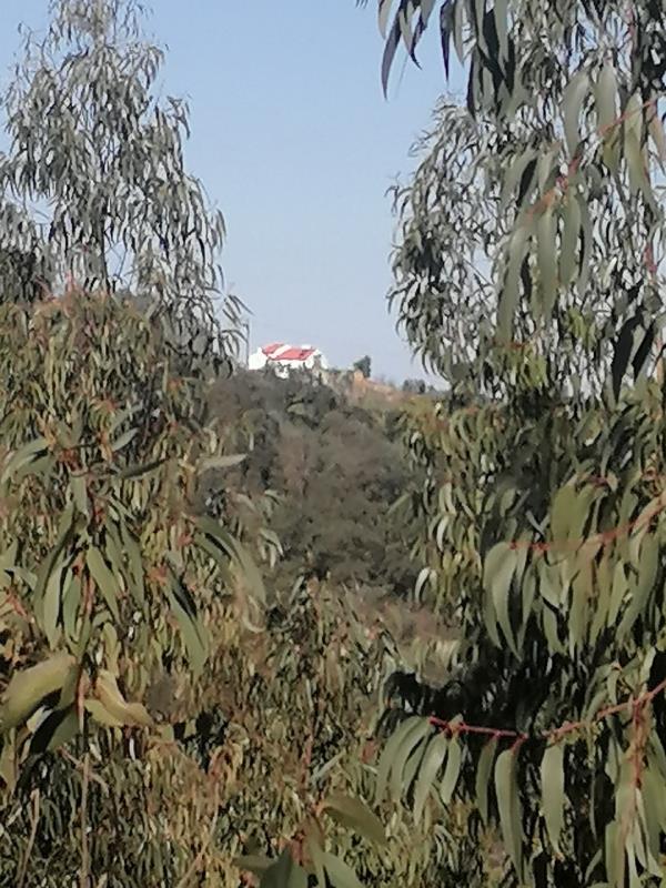 1/4 Prédio rústico sito em Aldeia do Mato / Abrantes