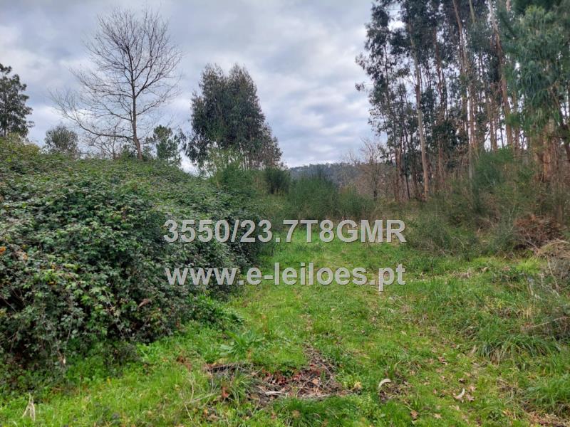 Terreno com 15200m2 inserido perto da zona habitacional e confronta com Rio