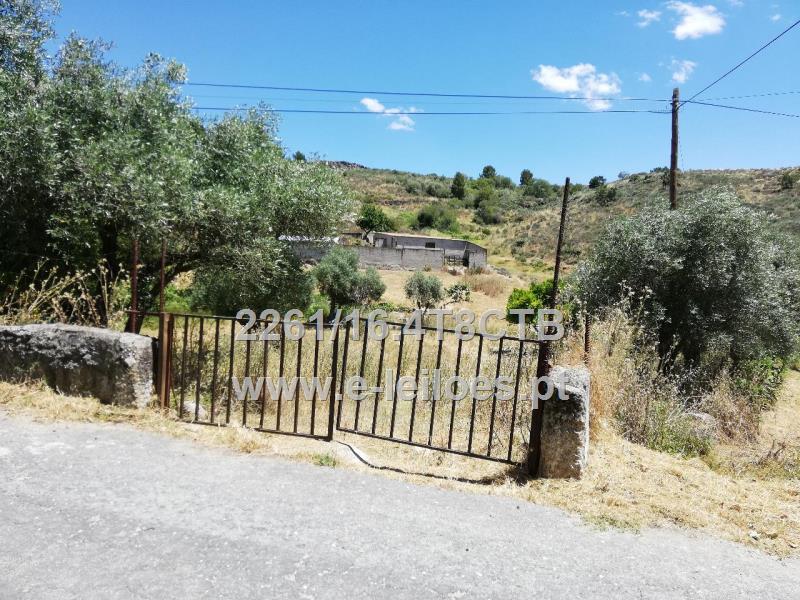 Quinta em Maçaínhas, Belmonte