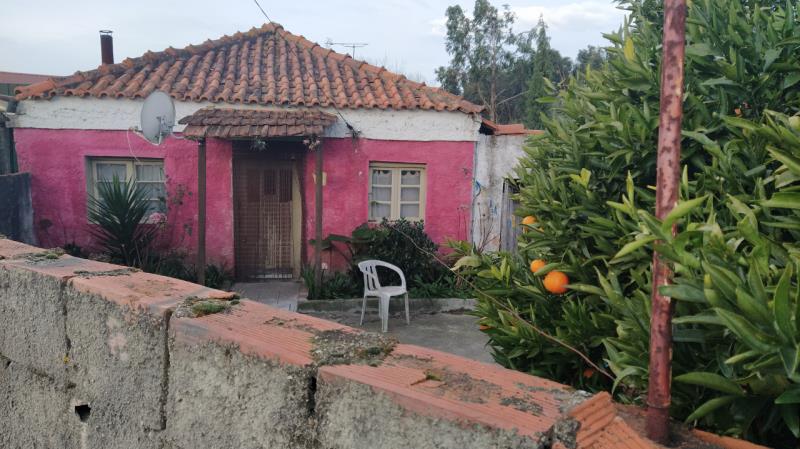 Fotografia de direito: Direito e acção em herança