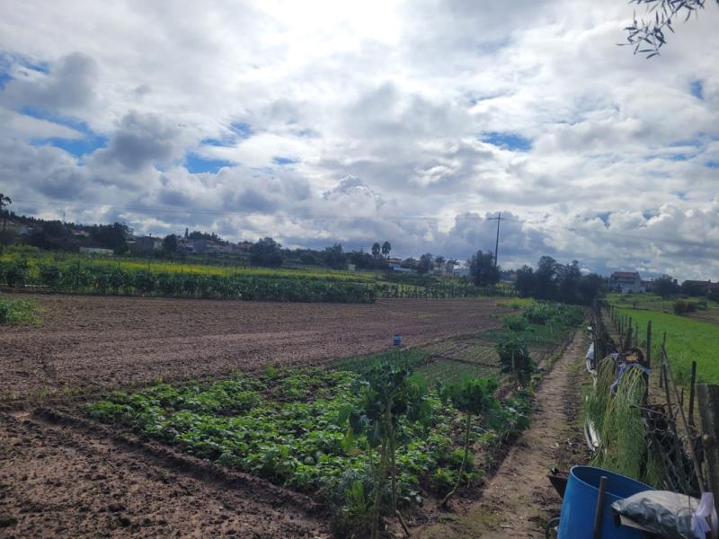 Fotografia de imóvel: Terreno agrícola com a área de 2610m2 em Espinhel, Águeda