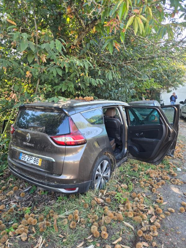 Fotografia de veículo: Renaul Grand Scénic 1.6dci de 2016 - Acidentado