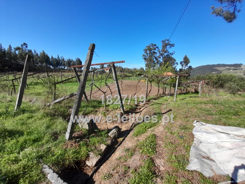 Terreno Rustico