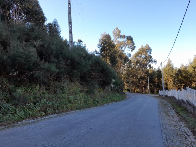Fotografia de imóvel: Terreno Rustico