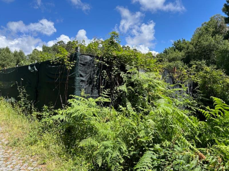 Fotografia de imóvel: Prédio rústico composto por pinhal