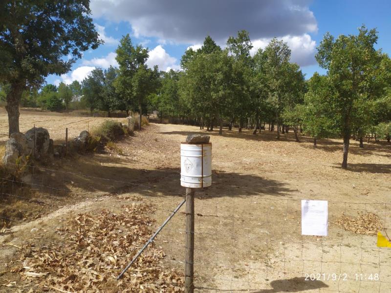 Fotografia de imóvel: Terra de cultura e pastagem