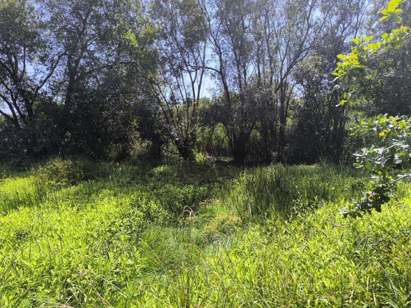 Fotografia de imóvel: Terreno agrícola junto a curso de água