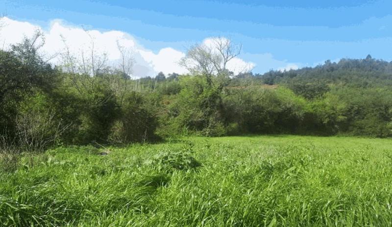 Fotografia de imóvel: Prédio rústico com 9700 m2, em Antuzede