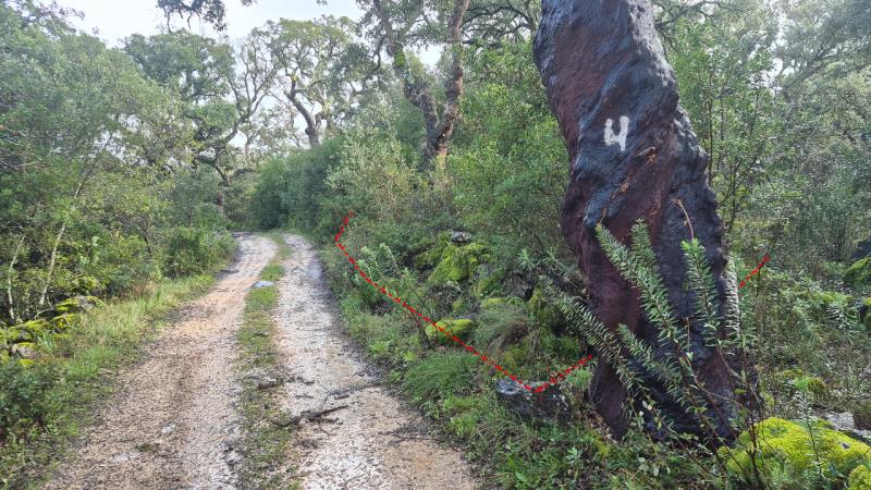 Fotografia de imóvel: Predio rustico em Moitas da Venda, Alcanena