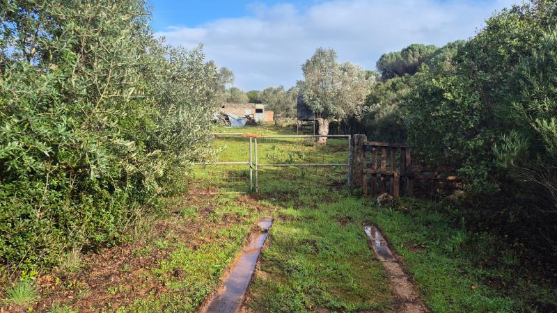 Fotografia de imóvel: Predio rustico em Monsanto, Alcanena