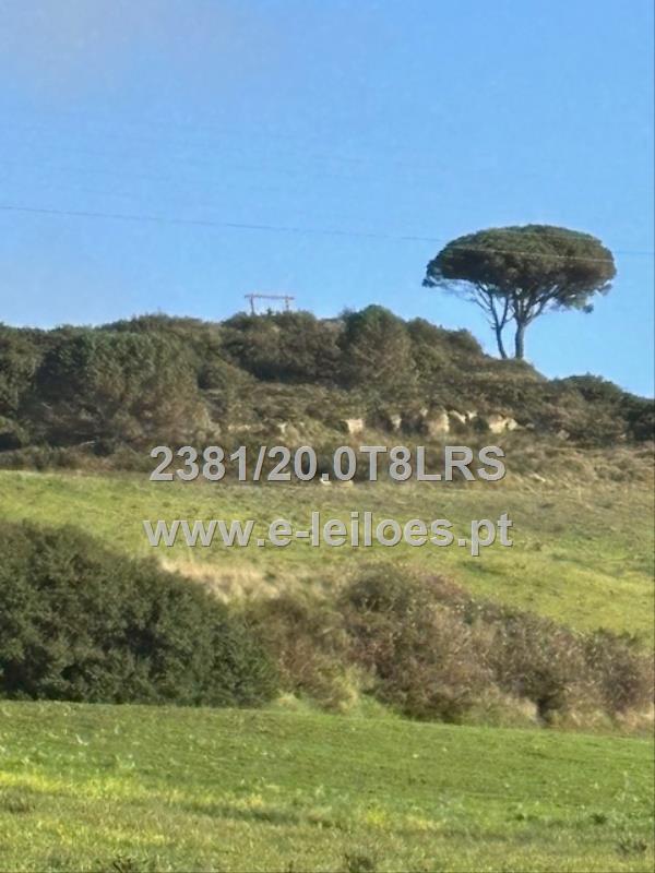 Prédio rústico, com área de 11 000 m2, situado em Sobral de Monte Agraço
