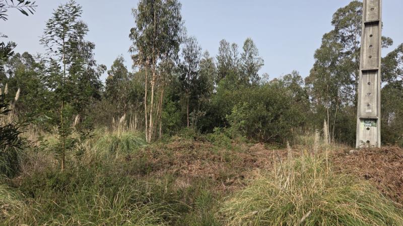 Fotografia de imóvel: Prédio Rustico sito em Santo André de Vagos, com 2520m2