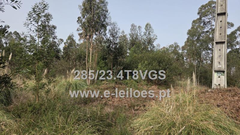 Prédio Rustico sito em Santo André de Vagos, com 2520m2