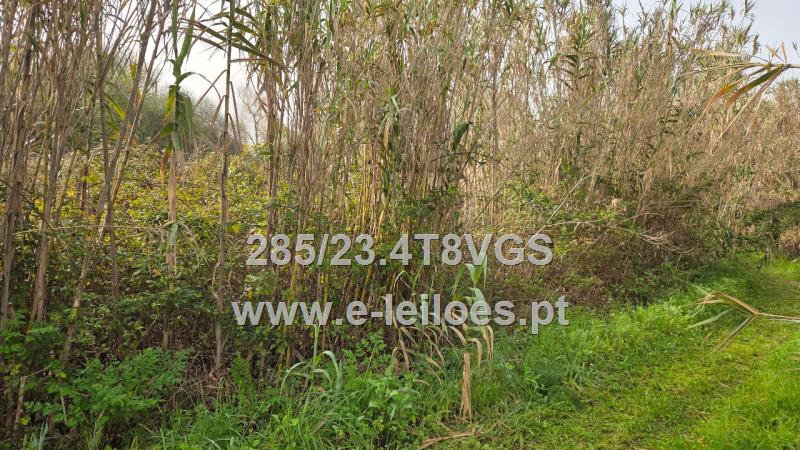 Prédio Rustico sito em Sto André de Vagos, com 2140m2