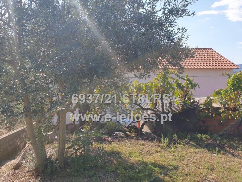 Lote de Terrenos Rústicos sitos em Oleiros