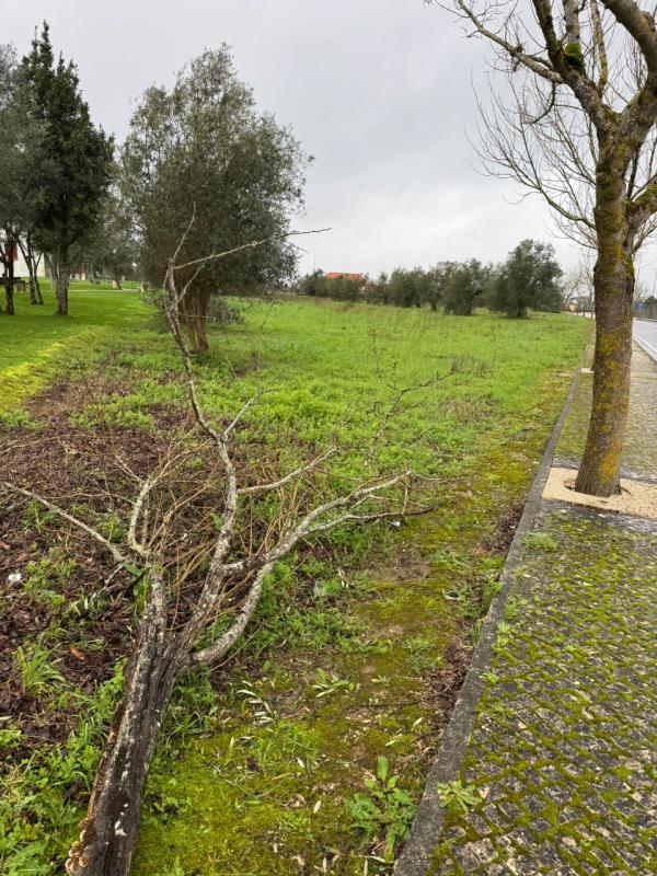 Fotografia de imóvel: 7.076,49m2 - terreno urbano no centro de Condeixa