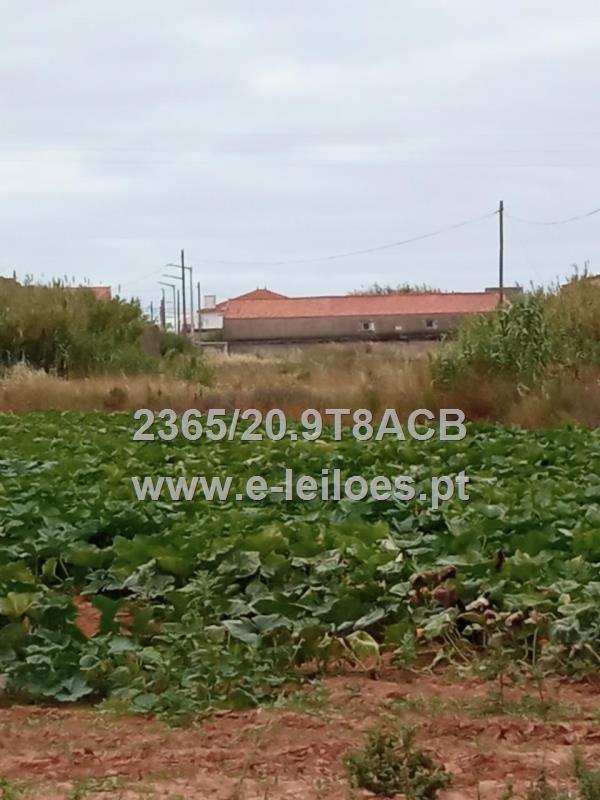 *PRÉDIO RÚSTICO EM ATOUGUIA DA BALEIA - PENICHE*