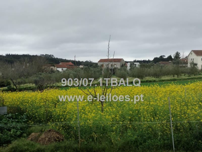 1/6 do Terreno de cultura com oliveiras, terra de vinha, videiras em cordão