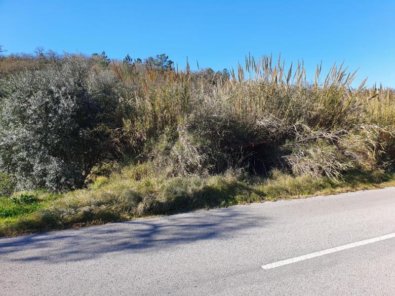 Fotografia de imóvel: Prédio rústico com 1400m2 sito em Vale Joaninho, Alqueidão da  Serra