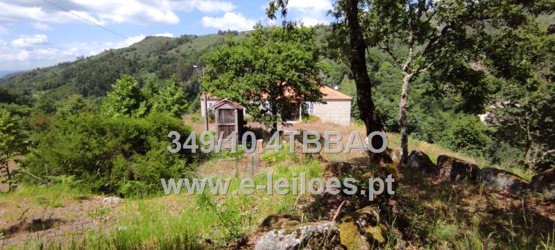 QUINTA - RETIRO DAS NOVELEIRAS - BAIÃO