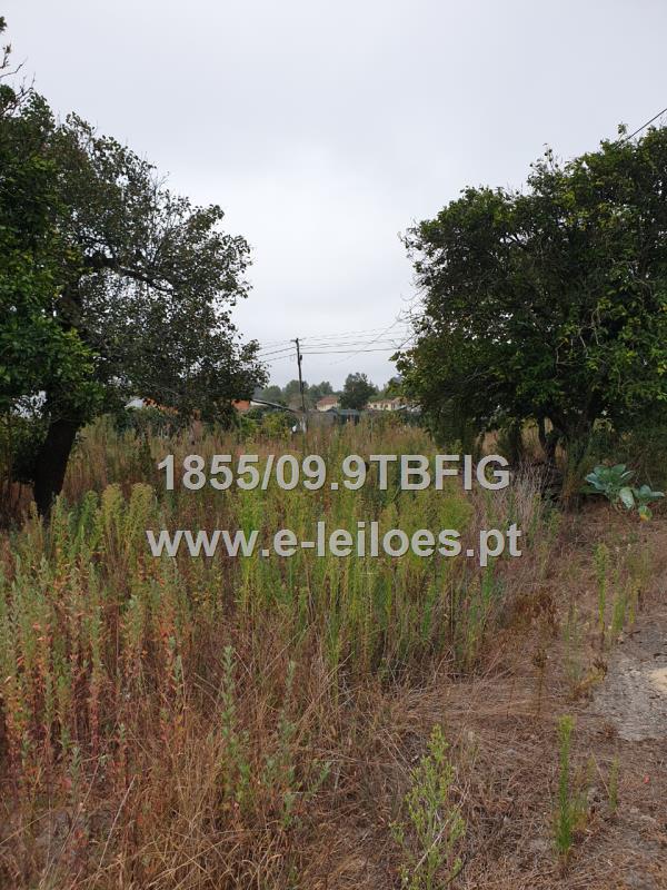 Terreno para construção urbana situado na Figueira da Foz