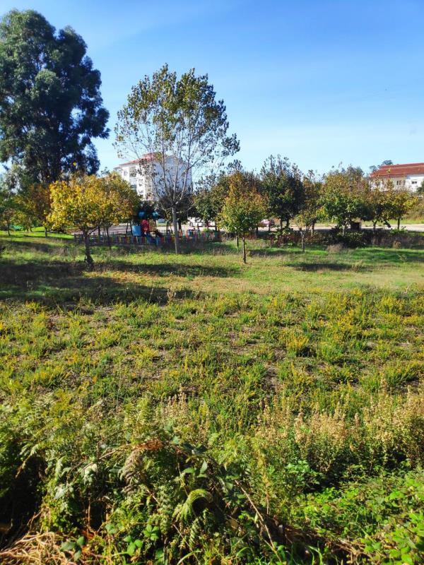 Fotografia de imóvel: Terreno para Construção em Cernache do Bonjardim - Sertã